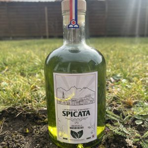 Spicata – Menthe verte