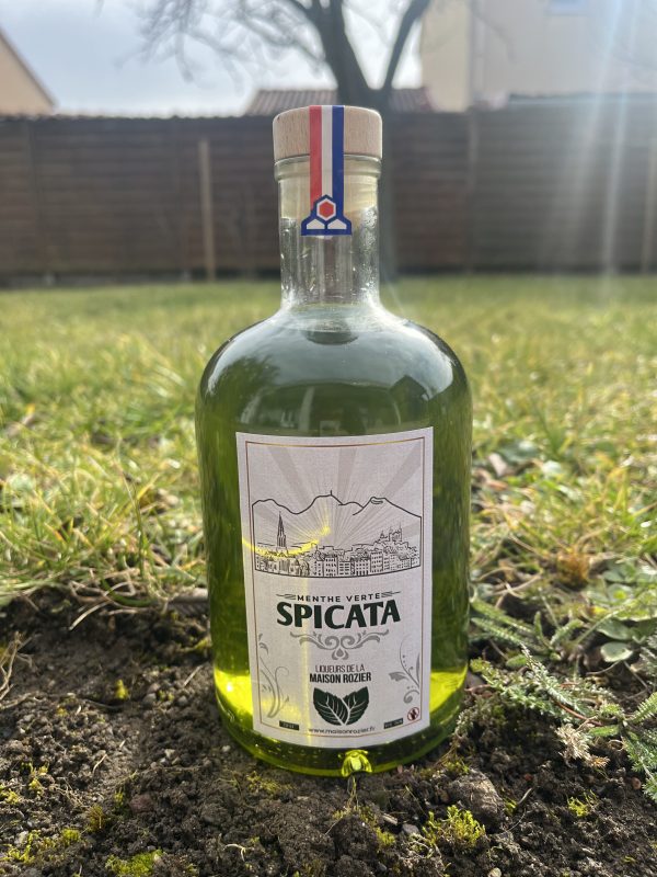 Spicata - Menthe verte