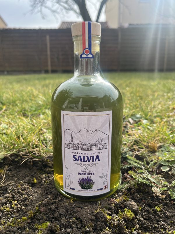 Salvia - Sauge bio