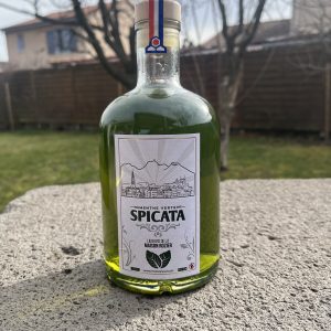 Spicata – Menthe verte